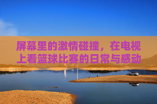 屏幕里的激情碰撞,在电视上看篮球比赛的日常与感动,屏幕里的激情碰撞,电视看篮球的日常与感动