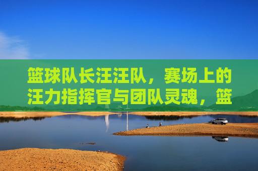 篮球队长汪汪队，赛场上的汪力指挥官与团队灵魂，篮球队长汪汪队，赛场上的汪力指挥官与团队灵魂