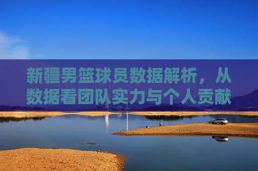 新疆男篮球员数据解析,从数据看团队实力与个人贡献的平衡