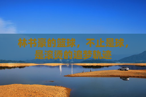 林书豪的篮球,不止是球,是滚烫的追梦轨迹