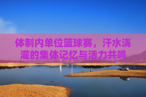 体制内单位篮球赛，汗水浇灌的集体记忆与活力共鸣