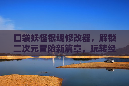 口袋妖怪银魂修改器，解锁二次元冒险新篇章，玩转经典与动漫的融合体验，口袋妖怪银魂修改器，解锁二次元冒险新篇章，玩转经典与动漫融合体验