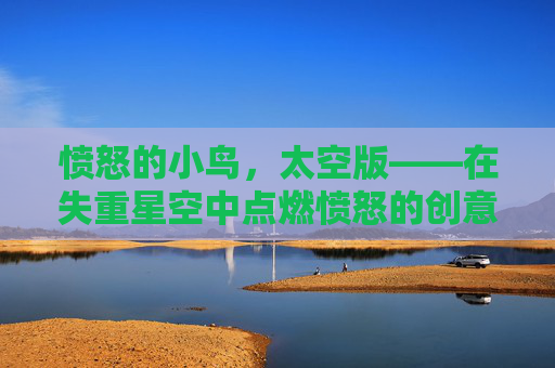 愤怒的小鸟,太空版——在失重星空中点燃愤怒的创意火花,愤怒的小鸟,太空版——在失重星空中点燃愤怒的创意火花