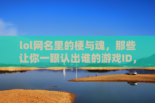 lol网名里的梗与魂,那些让你一眼认出谁的游戏ID,藏着玩家的游戏哲学与社交密码,LOL网名里的梗与魂,一眼认出的游戏ID,藏着玩家的游戏哲学与社交密码