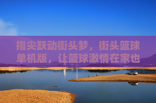 指尖跃动街头梦，街头篮球单机版，让篮球激情在家也能热血沸腾，指尖跃动街头梦，街头篮球单机版，在家也能点燃篮球热血