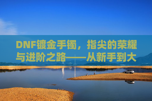 DNF镀金手镯，指尖的荣耀与进阶之路——从新手到大佬的必经之路，DNF镀金手镯，指尖的荣耀与进阶之路——从新手到大佬的必经之路