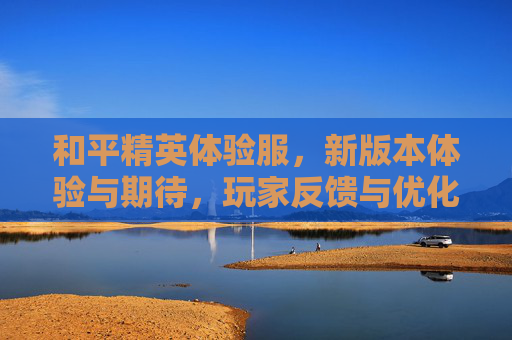 和平精英体验服，新版本体验与期待，玩家反馈与优化方向，和平精英体验服新版本体验与期待，玩家反馈及优化方向