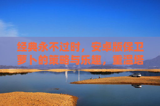 经典永不过时,安卓版保卫萝卜的策略与乐趣,重温塔防的欢乐时光,经典永不过时,安卓版保卫萝卜,策略与塔防的欢乐时光