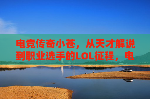 电竞传奇小苍，从天才解说到职业选手的LOL征程，电竞传奇小苍，从天才解说到职业选手的LOL征程