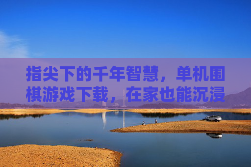指尖下的千年智慧，单机围棋游戏下载，在家也能沉浸式体验棋盘博弈的乐趣，指尖下的千年智慧，单机围棋游戏下载，在家也能沉浸式体验棋盘博弈的乐趣