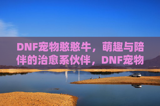 DNF宠物憨憨牛,萌趣与陪伴的治愈系伙伴,DNF宠物憨憨牛,萌趣与陪伴的治愈系伙伴