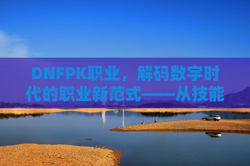 DNFPK职业，解码数字时代的职业新范式——从技能到生态的转型之路，DNFPK职业，解码数字时代的职业新范式——从技能到生态的转型之路