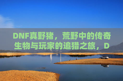 DNF真野猪,荒野中的传奇生物与玩家的追猎之旅,DNF真野猪,荒野中的传奇生物与玩家的追猎之旅