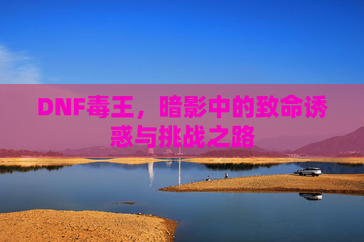DNF毒王,暗影中的致命诱惑与挑战之路