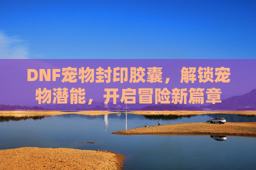 DNF宠物封印胶囊，解锁宠物潜能，开启冒险新篇章