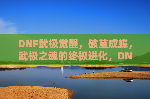 DNF武极觉醒，破茧成蝶，武极之魂的终极进化，DNF武极觉醒，破茧成蝶，武极之魂的终极进化