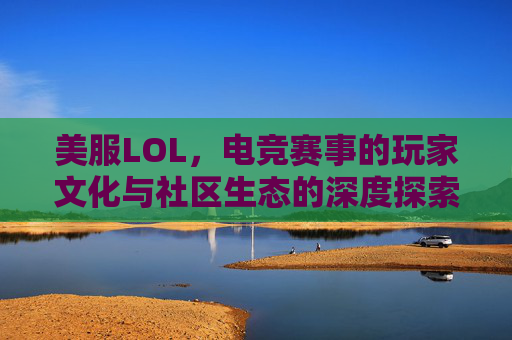美服LOL，电竞赛事的玩家文化与社区生态的深度探索，美服LOL电竞赛事玩家文化与社区生态的深度探索