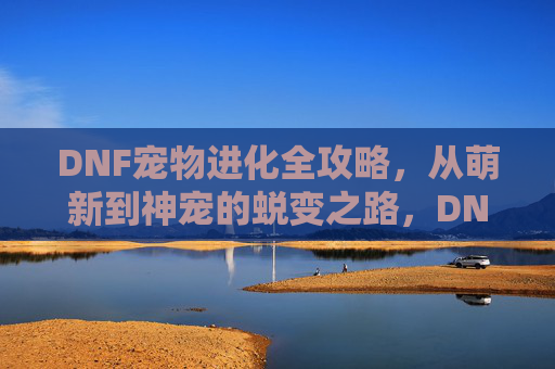 DNF宠物进化全攻略,从萌新到神宠的蜕变之路,DNF宠物进化全攻略,从萌新到神宠的蜕变之路