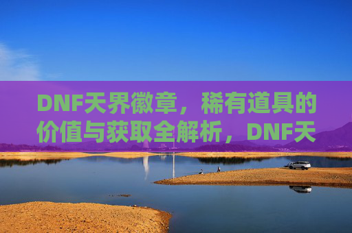 DNF天界徽章,稀有道具的价值与获取全解析,DNF天界徽章,稀有道具的价值与获取全解析