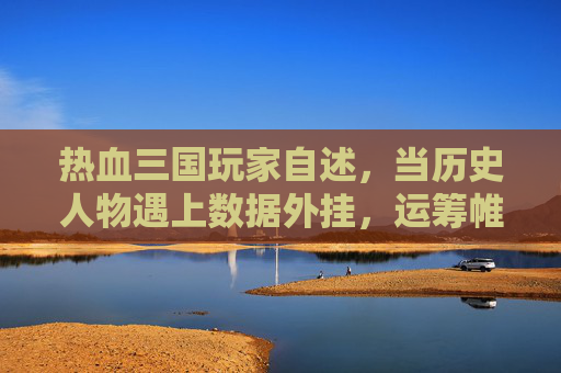 热血三国玩家自述，当历史人物遇上数据外挂，运筹帷幄变数据流，热血三国玩家自述，当历史人物遇上数据外挂，运筹帷幄变数据流