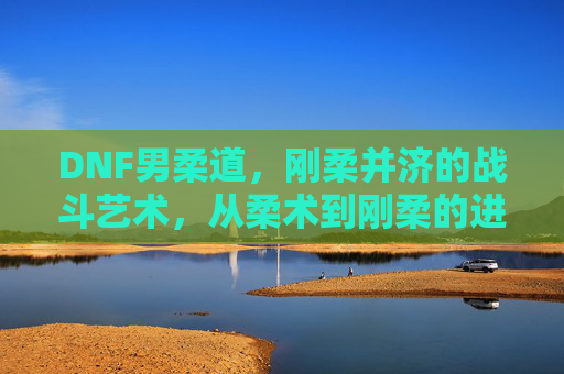 DNF男柔道,刚柔并济的战斗艺术,从柔术到刚柔的进化之路