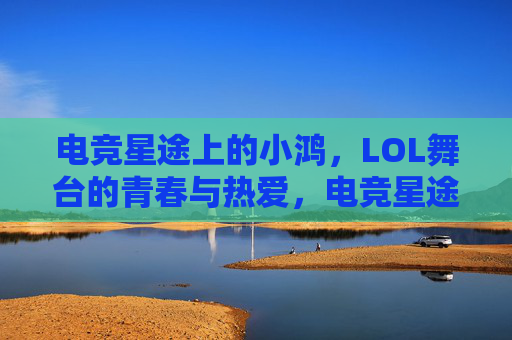 电竞星途上的小鸿，LOL舞台的青春与热爱，电竞星途上的小鸿，LOL舞台的青春与热爱