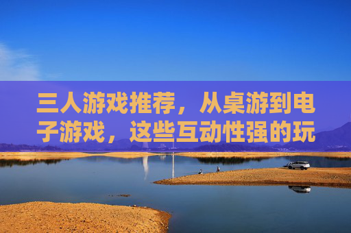 三人游戏推荐,从桌游到电子游戏,这些互动性强的玩法让聚会欢乐加倍