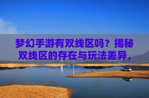 梦幻手游有双线区吗？揭秘双线区的存在与玩法差异，梦幻手游双线区揭秘，存在与玩法差异解析