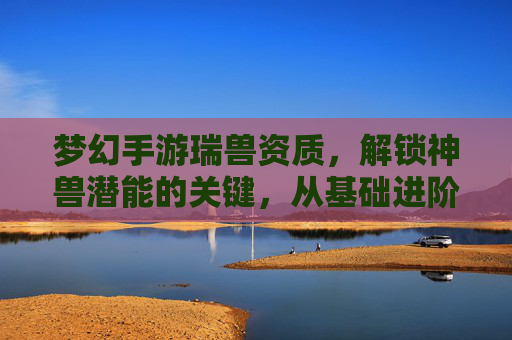 梦幻手游瑞兽资质，解锁神兽潜能的关键，从基础进阶到顶尖的进阶之路