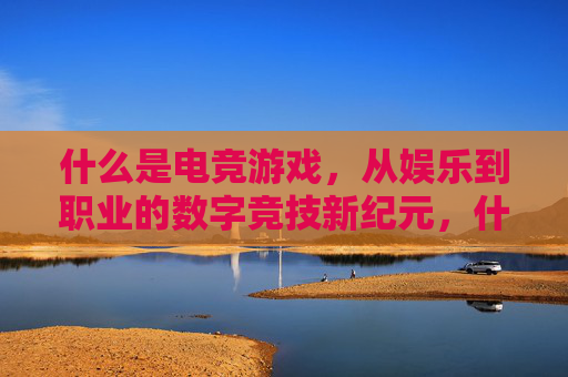 什么是电竞游戏，从娱乐到职业的数字竞技新纪元，什么是电竞游戏，从娱乐到职业的数字竞技新纪元