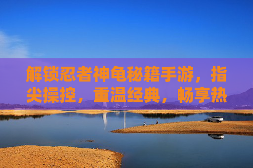 解锁忍者神龟秘籍手游,指尖操控,重温经典,畅享热血冒险!