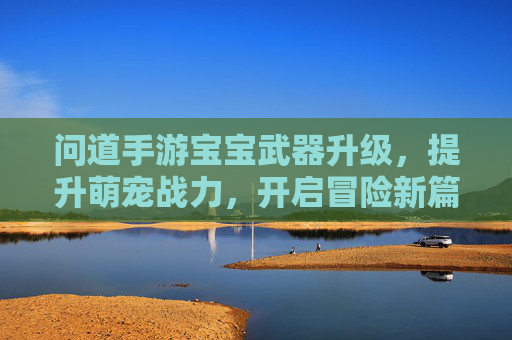 问道手游宝宝武器升级,提升萌宠战力,开启冒险新篇章