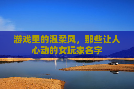 游戏里的温柔风，那些让人心动的女玩家名字