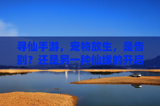 寻仙手游，宠物放生，是告别？还是另一种仙缘的开启？寻仙手游宠物放生，告别还是新仙缘的开启？