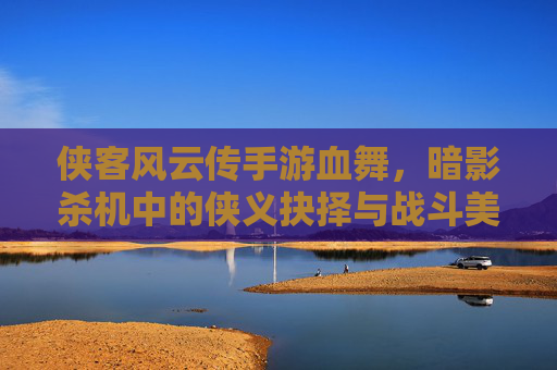 侠客风云传手游血舞，暗影杀机中的侠义抉择与战斗美学