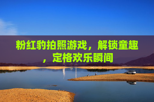 粉红豹拍照游戏，解锁童趣，定格欢乐瞬间