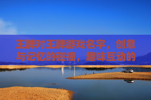 王牌对王牌游戏名字，创意与记忆的碰撞，趣味互动的盛宴