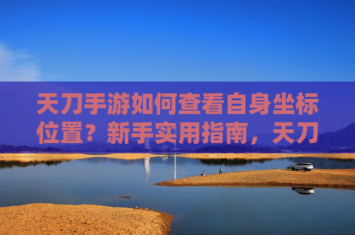 天刀手游如何查看自身坐标位置?新手实用指南,天刀手游查看自身坐标位置的方法,新手实用指南