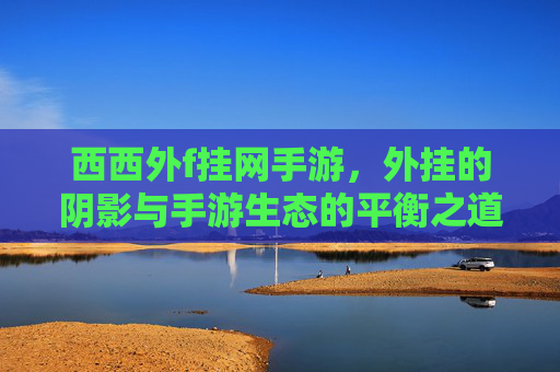 西西外f挂网手游,外挂的阴影与手游生态的平衡之道
