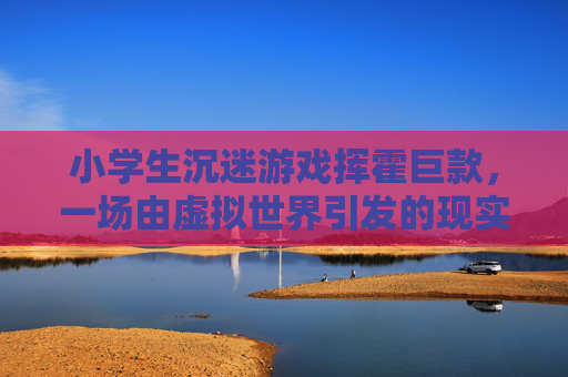小学生沉迷游戏挥霍巨款，一场由虚拟世界引发的现实危机，小学生沉迷游戏挥霍巨款，一场由虚拟世界引发的现实危机