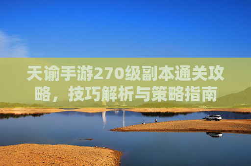 天谕手游270级副本通关攻略，技巧解析与策略指南
