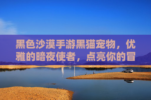 黑色沙漠手游黑猫宠物,优雅的暗夜使者,点亮你的冒险之旅