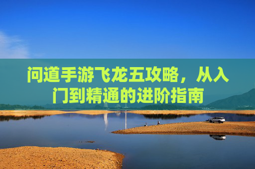 问道手游飞龙五攻略,从入门到精通的进阶指南