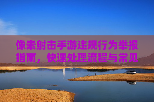 像素射击手游违规行为举报指南，快速处理流程与常见问题解答，像素射击手游违规行为举报指南，快速处理流程与常见问题解答