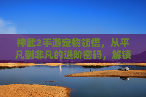神武2手游宠物领悟，从平凡到非凡的进阶密码，解锁神宠隐藏潜能的实战指南，神武2手游宠物领悟，从平凡到非凡的进阶密码，解锁神宠隐藏潜能的实战指南