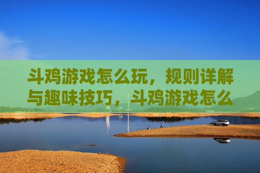 斗鸡游戏怎么玩，规则详解与趣味技巧，斗鸡游戏怎么玩，规则详解与趣味技巧
