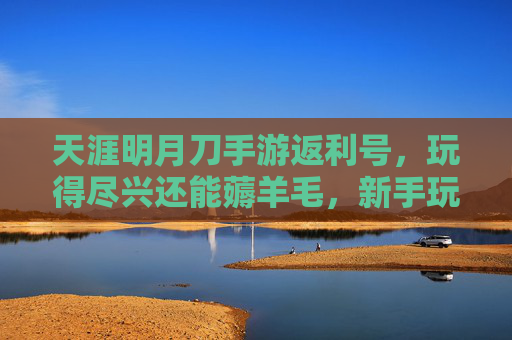 天涯明月刀手游返利号，玩得尽兴还能薅羊毛，新手玩家的省钱秘籍，天涯明月刀手游返利号，玩得尽兴还能薅羊毛，新手玩家的省钱秘籍