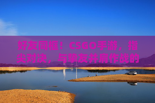 好友同框！CSGO手游，指尖对决，与挚友并肩作战的极限体验，CSGO手游，好友同框，指尖对决，与挚友并肩的极限体验