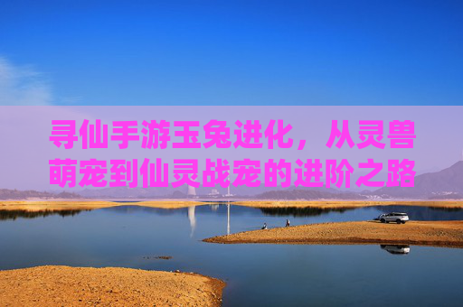 寻仙手游玉兔进化,从灵兽萌宠到仙灵战宠的进阶之路,寻仙手游玉兔进化,从灵兽萌宠到仙灵战宠的进阶之路