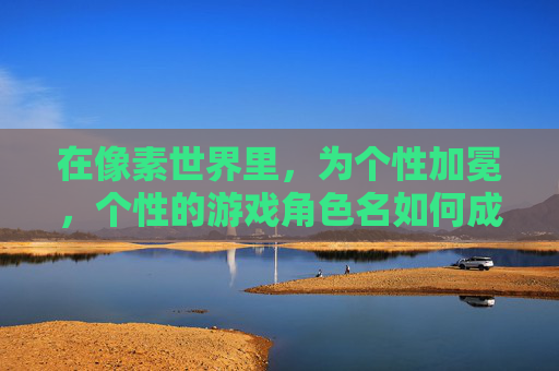 在像素世界里,为个性加冕,个性的游戏角色名如何成为数字身份的勋章
